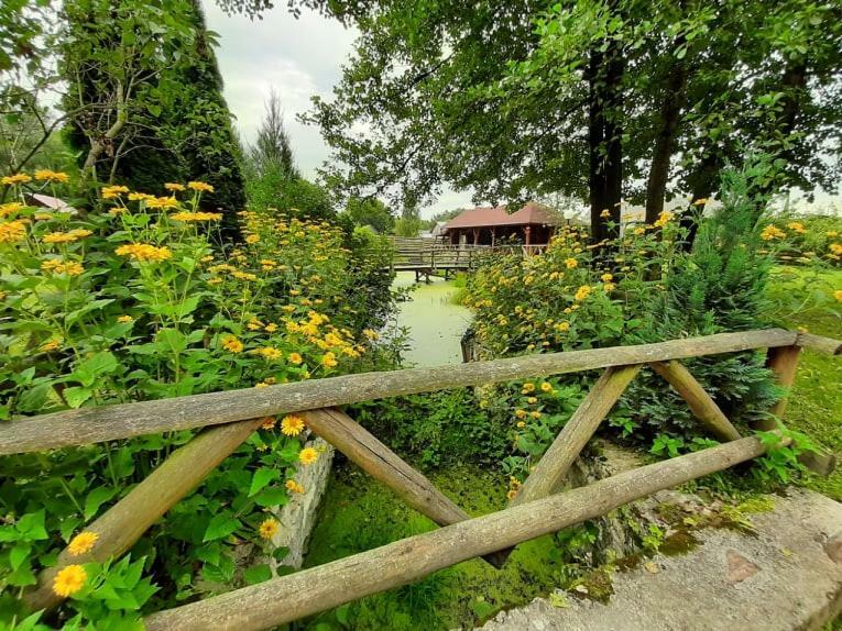 Gospodarstwo Agroturystyczne Pod Lasem Maria Plazio Narol Ngoại thất bức ảnh
